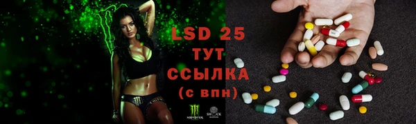 твердый Алексеевка