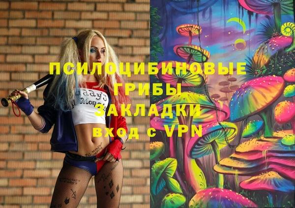 мяу мяу мука Алзамай