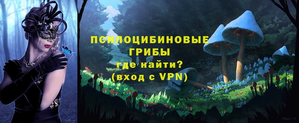 мяу мяу мука Алзамай