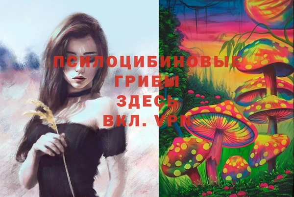 мяу мяу мука Алзамай